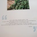 연수송도역전시장 이미지