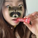 애플사이다카페 | 제품) 에브리데이즈 애사비 스틱 애사비캔디 애플사이다비니거 크런치 솔직후기💚