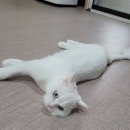호텔하루 이미지
