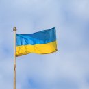 유엔필