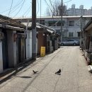 맹가네 보리와 밀 | (서울 용산) 마다밀 후기 / 비건인데 맛있는 용산 브런치 맛집