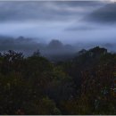 비밀의 정원 이미지