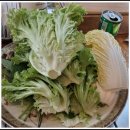 영산강장어 | 건강식 맛집 영산강 민물장어 우렁쌈밥 먹고 반한 후기