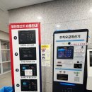 통영중앙전통시장｜충무김밥맛집 뚱보할매김밥 vs 한일김밥, 멍게하우스 수제꿀빵 후기