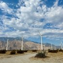 엘에이농장 | 엘에이 여행 코스 - 조슈아트리 국립공원 별 투어 당일치기 / 10월 11월 날씨