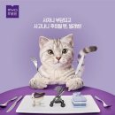 클라우드렌탈 이미지