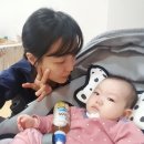 프라임항공여행 이미지