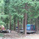 남해편백자연휴양림 이미지