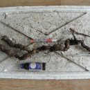 광산구-025 이미지