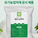 천연(에코)환경 이미지