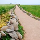 가파도올레길 이미지