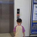 서진이네 안전 약속 챌린지😆 이미지