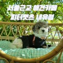 서울펫츠베이 | [고양시 애견카페] 서울 근교 애견 카페 추천 피터펫츠 내유점 방문 후기