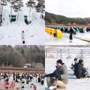 평창돔 | 평창 송어축제 2026 기본정보 겨울 아이와 가볼만한곳