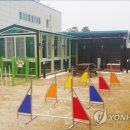 도그,위브 이미지