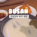 거대곰탕서면점