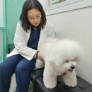 광주아주병원 이미지