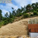 양평수목 이미지