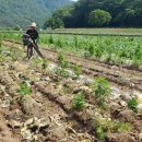 원진농장 이미지