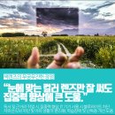 무진안경원 네이버블로그
