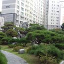 위례대표공인중개사사무소 이미지