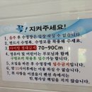 빛나워시 | [가평]아이들 놀거리 천국, 수영장도 깨끗한 가평풀빌라 &#39;빛나키즈랜드&#39; B3 후기