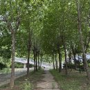 부곡2리마을회관 | 서해랑길 82코스~83코스, 당진 유곡교차로에서 복운리나눔숲 거쳐 삽교호관광공원까지