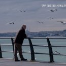 안은의료재단 이미지