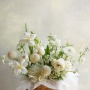 회원동149 이미지