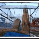 대농리마을회관 이미지