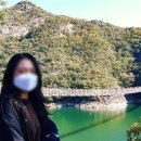 덕주펜션.민박 네이버블로그