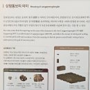 상평통보