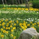 바다향기 이미지