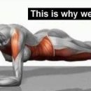 퍼스널 트레이닝 S 이미지