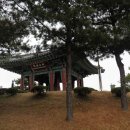 원주치악체육관 이미지