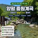 서울 근교 주차 편한 계곡 추천｜양평 중원계곡 당일치기 후기형 가이드