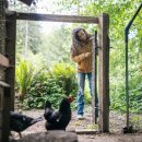 킹스빌딩 이미지