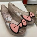 미니도그 이미지