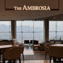 대바위 | 고성 소노펠리체 델피노 울산바위뷰 더엠브로시아 인피니티풀 이용후기 꿀팁