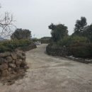 일출봉민박 이미지