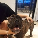 우소농장 이미지