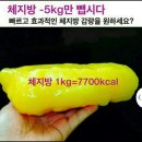 힐링핏앤다이어트