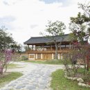 정든다방 이미지