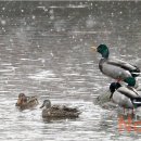 윤성호농장 이미지