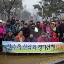 산수정 이미지