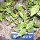 동의중학교 이미지