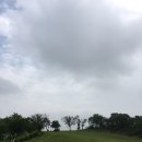 카페피어라