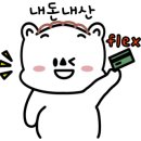 위험한피자 이미지