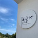 올리비아스테이 이미지