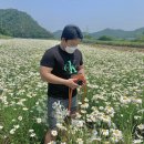 명보장여관 네이버블로그
